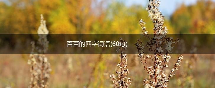 百百的四字词语(60句),第1张