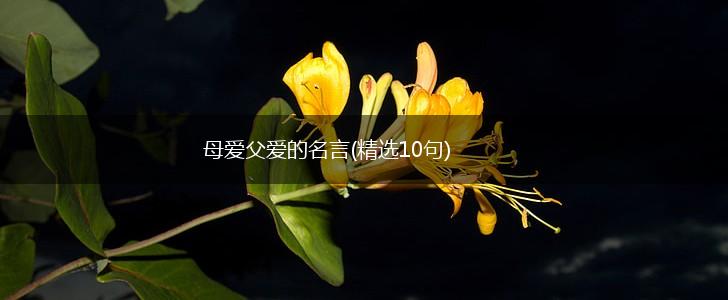 母爱父爱的名言(精选10句),第1张 母爱父爱的名言(精选10句),第1张