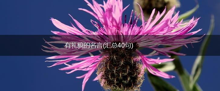 有礼貌的名言(汇总40句),第1张