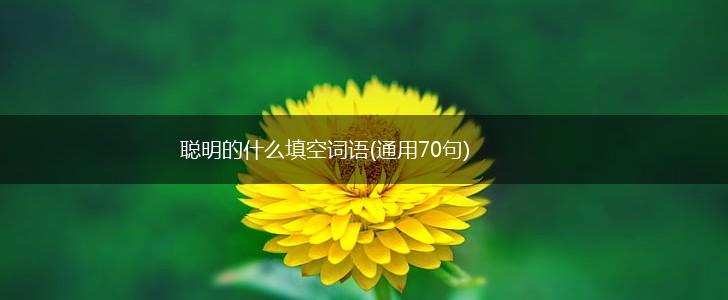 聪明的什么填空词语(通用70句),第1张 聪明的什么填空词语(通用70句),第1张