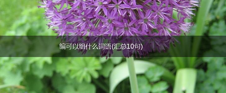 编可以组什么词语(汇总10句),第1张