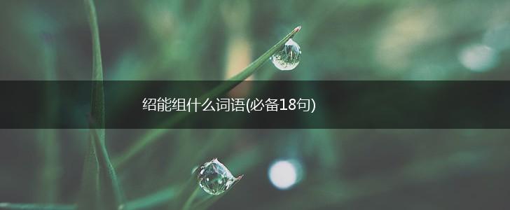 绍能组什么词语(必备18句),第1张