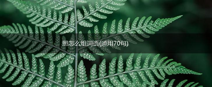 照怎么组词语(通用70句),第1张