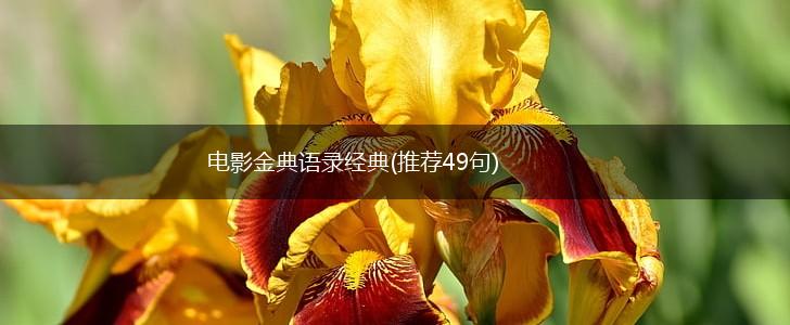 电影金典语录经典(推荐49句),第1张
