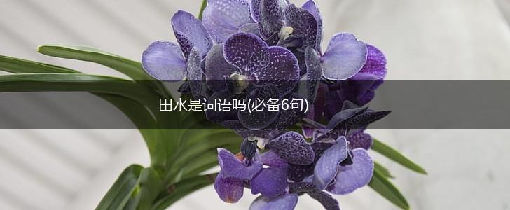 田水是词语吗(必备6句),第1张 田水是词语吗(必备6句),第1张