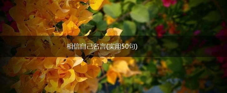相信自己名言(实用50句),第1张