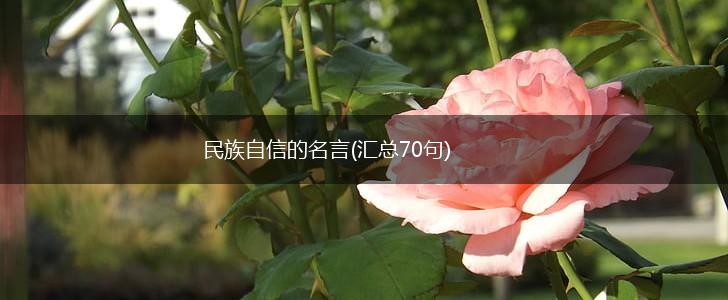 民族自信的名言(汇总70句),第1张