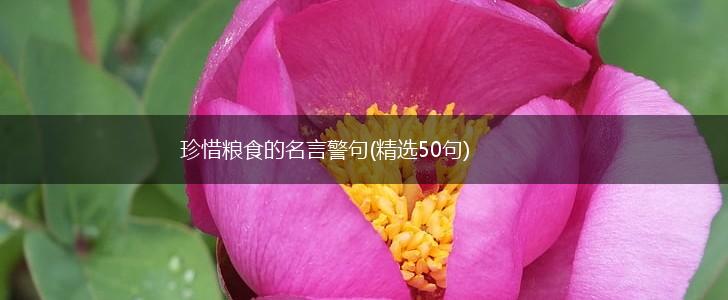 珍惜粮食的名言警句(精选50句),第1张