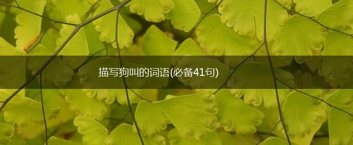 描写狗叫的词语(必备41句),第1张 描写狗叫的词语(必备41句),第1张