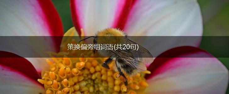 策换偏旁组词语(共20句),第1张 策换偏旁组词语(共20句),第1张