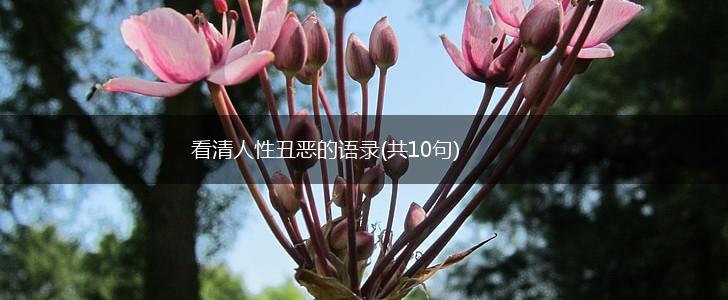 看清人性丑恶的语录(共10句),第1张