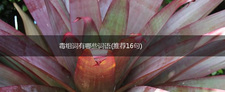 毒组词有哪些词语(推荐16句),第1张