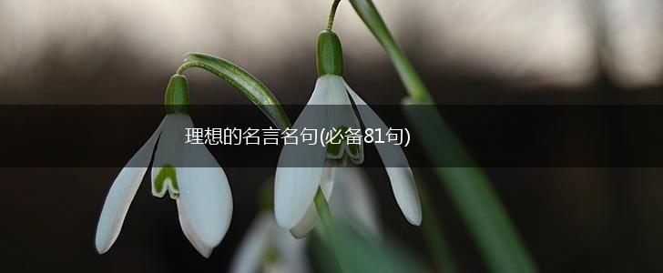 理想的名言名句(必备81句),第1张