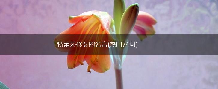 特蕾莎修女的名言(热门74句),第1张