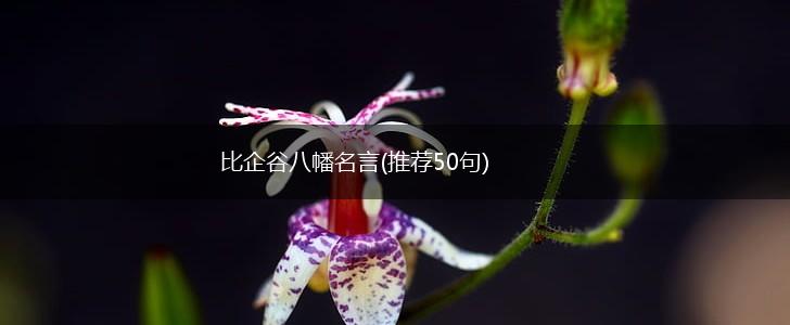 比企谷八幡名言(推荐50句),第1张