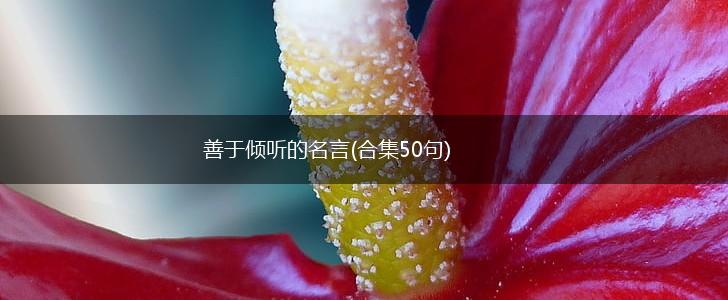 善于倾听的名言(合集50句),第1张