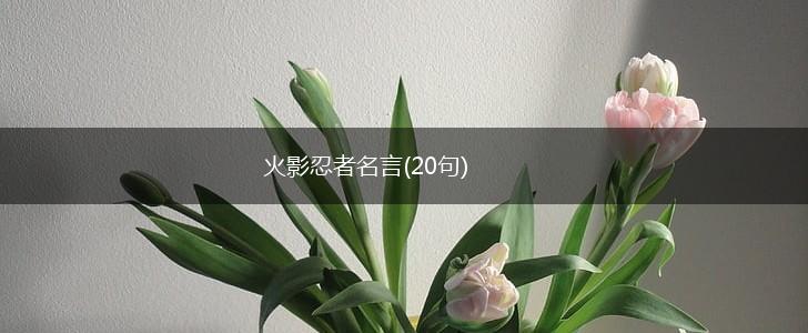 火影忍者名言(20句),第1张