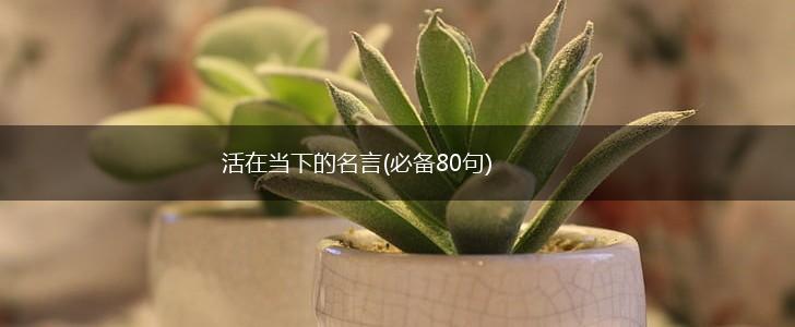 活在当下的名言(必备80句),第1张 活在当下的名言(必备80句),第1张