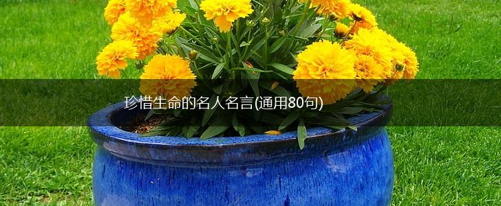 珍惜生命的名人名言(通用80句),第1张 珍惜生命的名人名言(通用80句),第1张