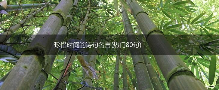 珍惜时间的诗句名言(热门80句),第1张