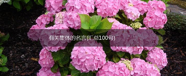 有关集体的名言(汇总100句),第1张