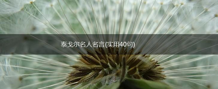 泰戈尔名人名言(实用40句),第1张 泰戈尔名人名言(实用40句),第1张