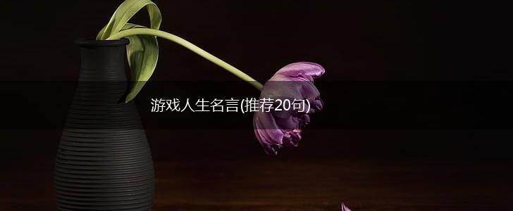 游戏人生名言(推荐20句),第1张