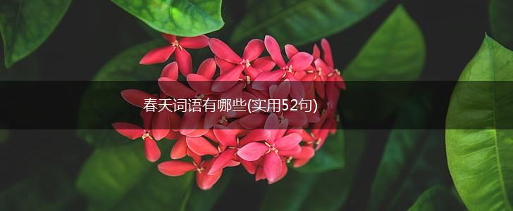 春天词语有哪些(实用52句),第1张