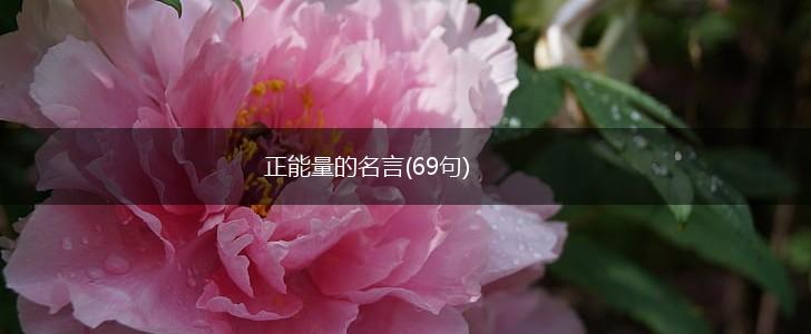 正能量的名言(69句),第1张