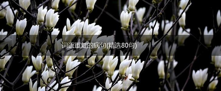 词语重复的病句(精选80句),第1张