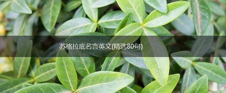 苏格拉底名言英文(精选80句),第1张
