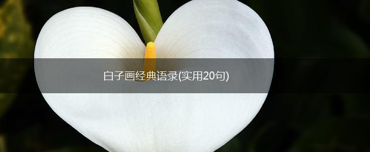 白子画经典语录(实用20句),第1张