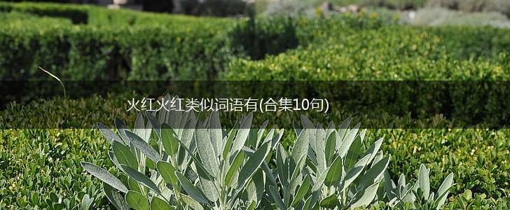 火红火红类似词语有(合集10句),第1张