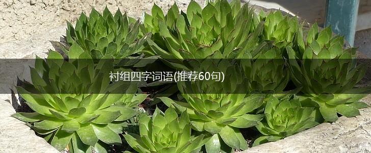 衬组四字词语(推荐60句),第1张