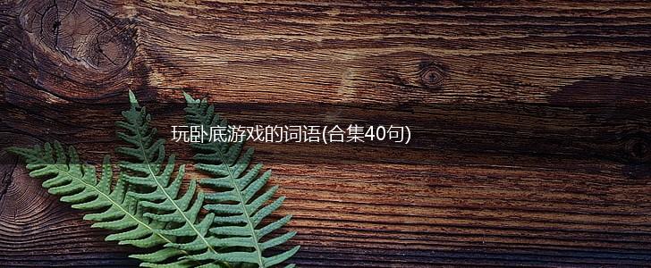 玩卧底游戏的词语(合集40句),第1张