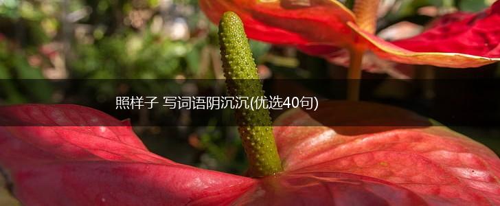 照样子 写词语阴沉沉(优选40句),第1张