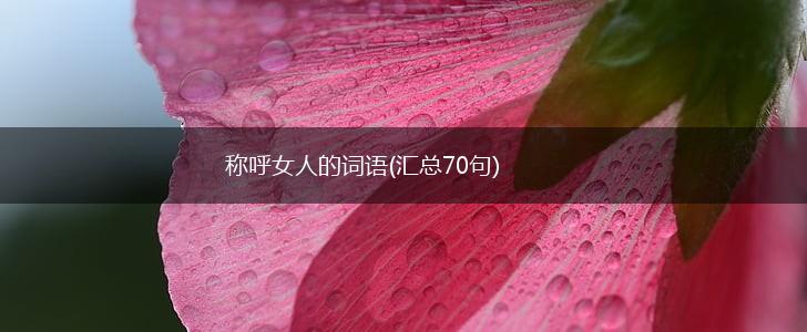 称呼女人的词语(汇总70句),第1张