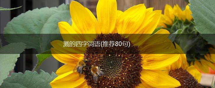 溅的四字词语(推荐80句),第1张