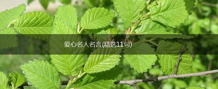 爱心名人名言(精选11句),第1张