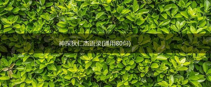 神探狄仁杰语录(通用80句),第1张