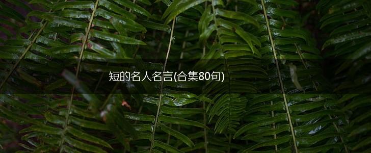 短的名人名言(合集80句),第1张