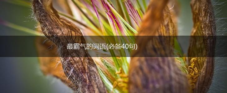 最霸气的词语(必备40句),第1张