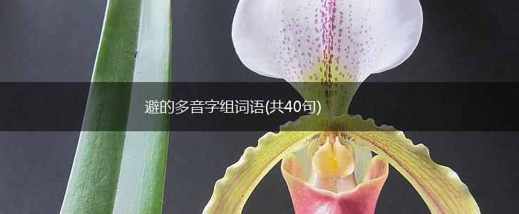 避的多音字组词语(共40句),第1张