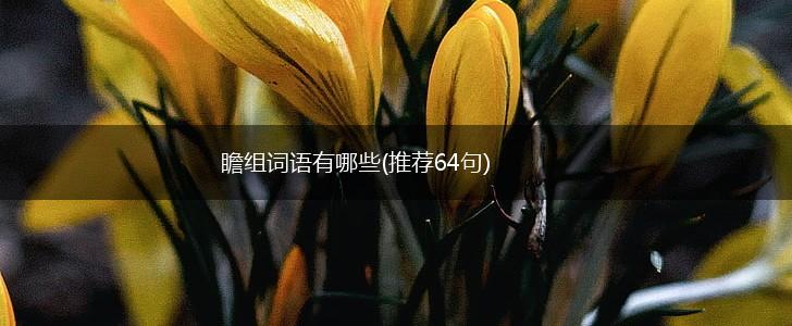 瞻组词语有哪些(推荐64句),第1张 瞻组词语有哪些(推荐64句),第1张