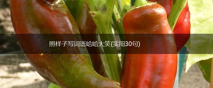 照样子写词语哈哈大笑(实用30句),第1张