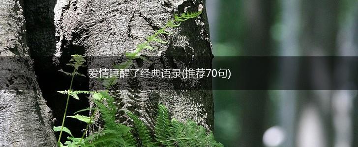 爱情睡醒了经典语录(推荐70句),第1张