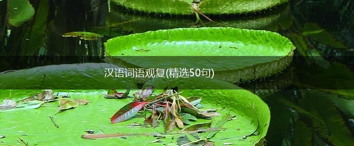 汉语词语观复(精选50句),第1张