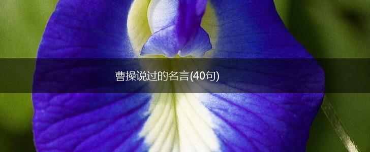 曹操说过的名言(40句),第1张