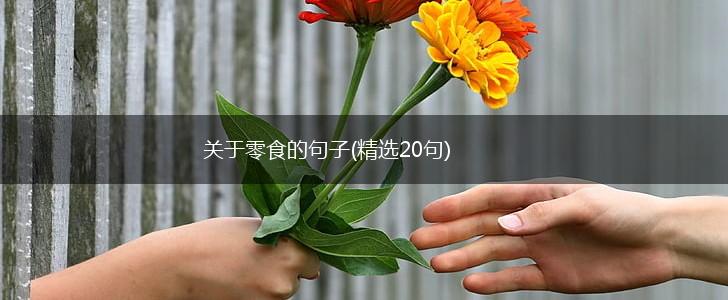 关于零食的句子(精选20句),第1张