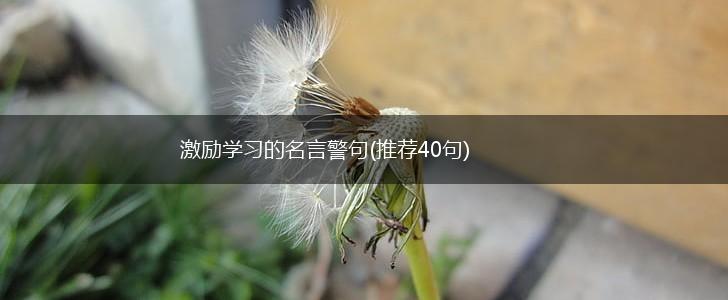 激励学习的名言警句(推荐40句),第1张